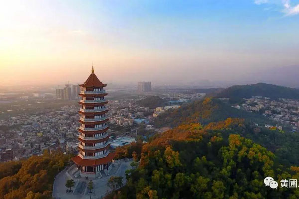 最大限度激发市场主体活力！市长危伟汉到黄圃调研，参观广东荣业食品有限公司